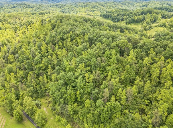 1518 Bryant Fork Road, Ezel, KY 41425