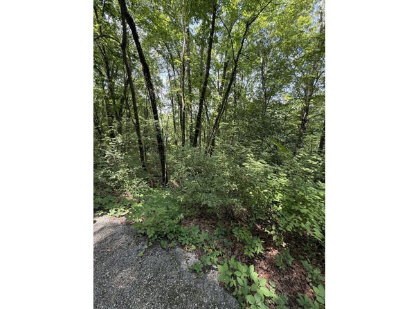 0 Wheeler Avenue, Chattanooga, TN 37404