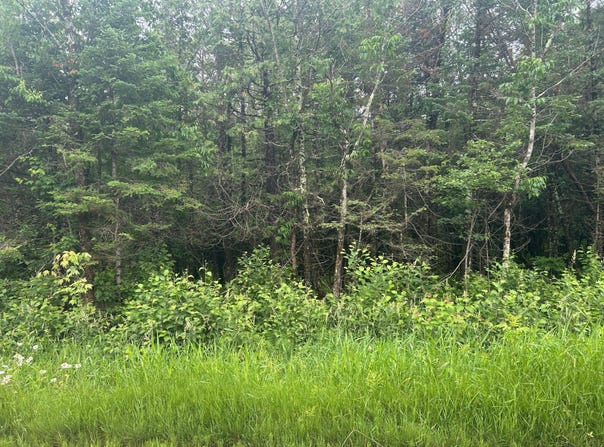 5 Ac On. WORSECH RD, Catawba, WI 54515