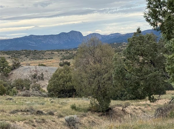 31 Bobcat Loop, Los Ojos, NM 87551