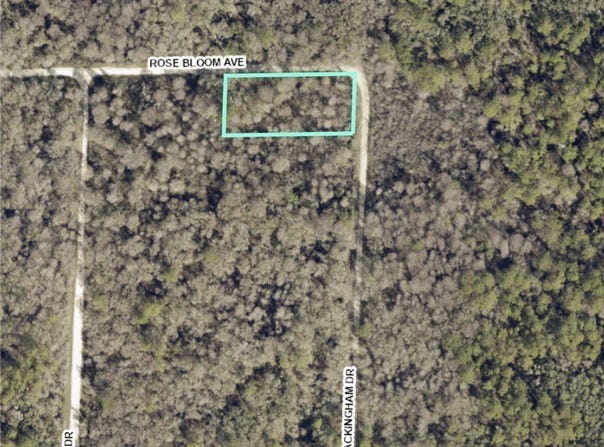 33464 Packingham Drive, Webster, FL 33597