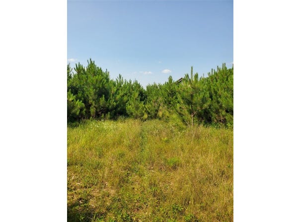 0 275th Avenue, Holcombe, WI 54745