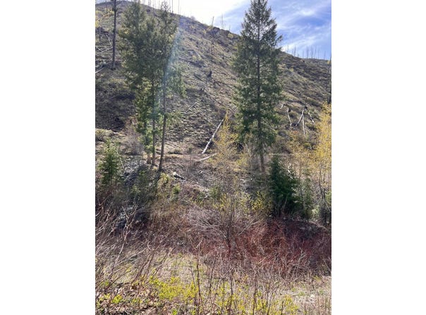 Quartz Creek Rd., Atlanta, ID 83647