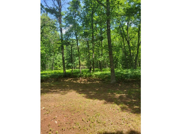 Star Acres Drive, Baldwin, MI 49304