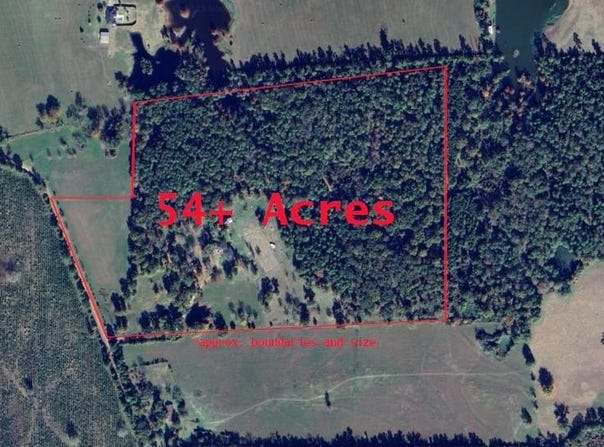 3902 Moore Cemetary Road, Groveton, TX 75845