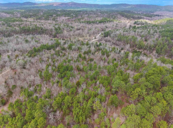 Gaston Road, Mount Ida, AR 71957