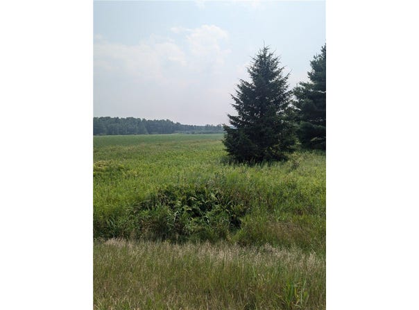 Lot 4 County Highway W, Holcombe, WI 54745
