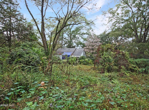4803 Sheridan Drive, Jackson, MS 39206
