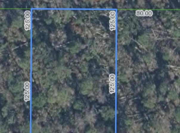 455 NIGHTINGALE AVENUE, SEBRING, FL 33870