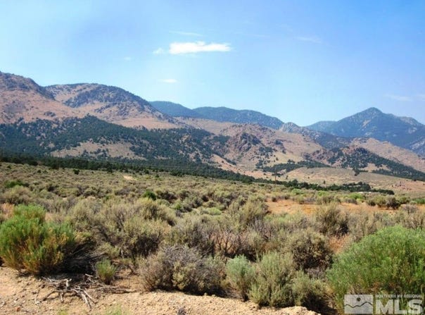 Main Street, Cherry Creek, NV 89301