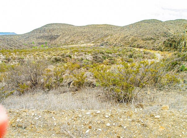 65 Red Draw Rd, Terlingua, TX 79852