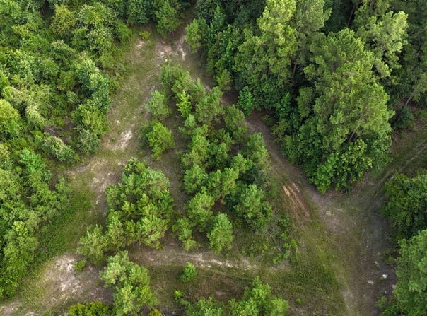 TBD Childress Rd., Grayson, LA 71435