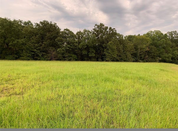 52 Copper Court lot: 31, Haughton, LA 71037