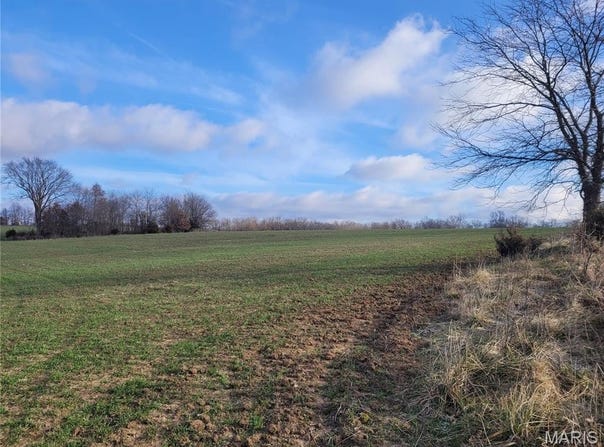 0 Bales Rd. (26.5+/- Acres), Middletown, MO 63359