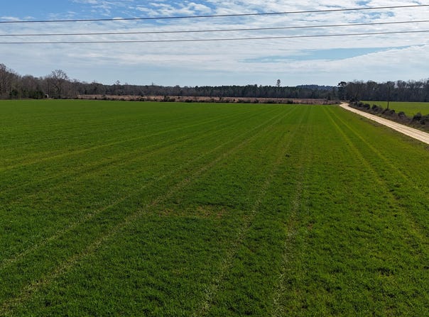 010 Bar M Farm, Andalusia, AL 36421