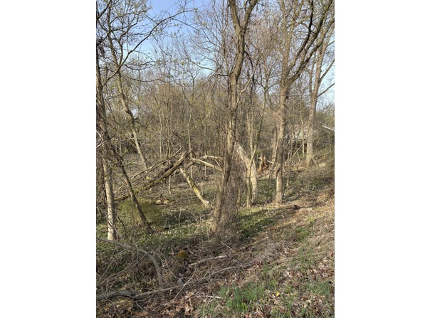 Lot 32 W High Street, Greenville, MI 48838