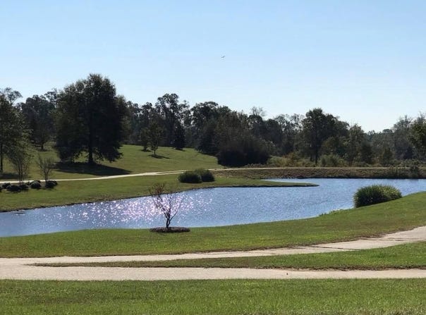 119 Weeping Willow Trail, Headland, AL 36345