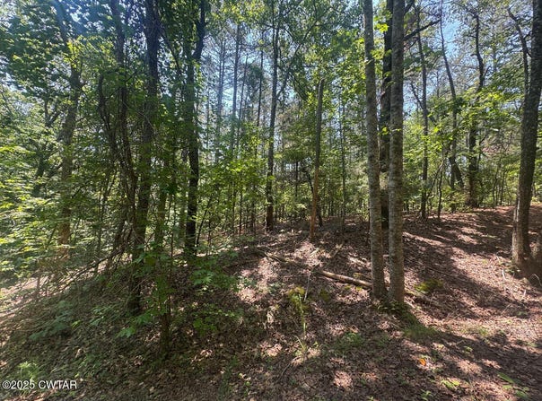 154 Oak Grove Road, Middleton, TN 38052