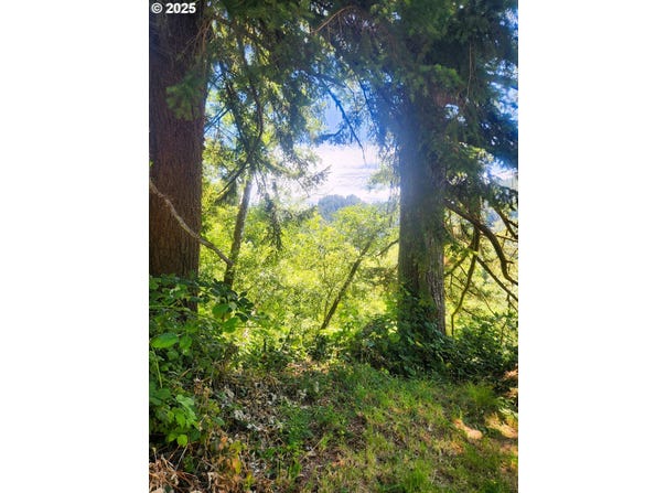 Tiernan Rd, Mapleton, OR 97453