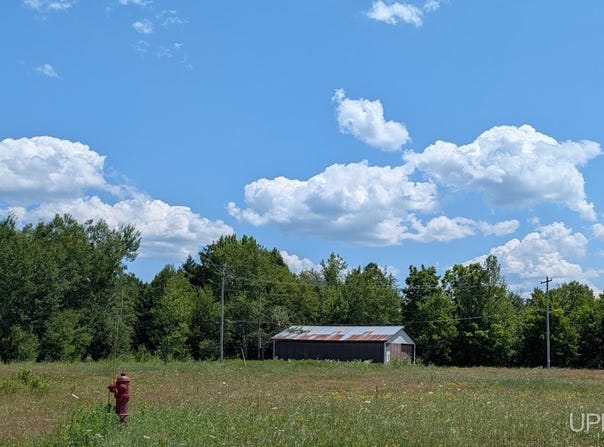 133 Maple Street, White Pine, MI 49971