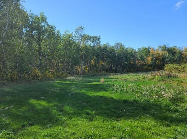Lot 17 Birchwood Heights 2nd Addition, Bottineau, ND 58318
