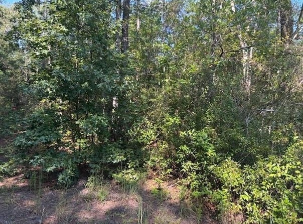 SE 8th Avenue, Palatka, FL 32177