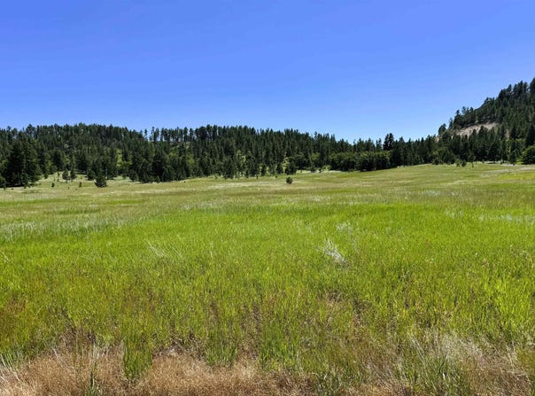E1 Soaring Eagle Road, Hulett, WY 82720