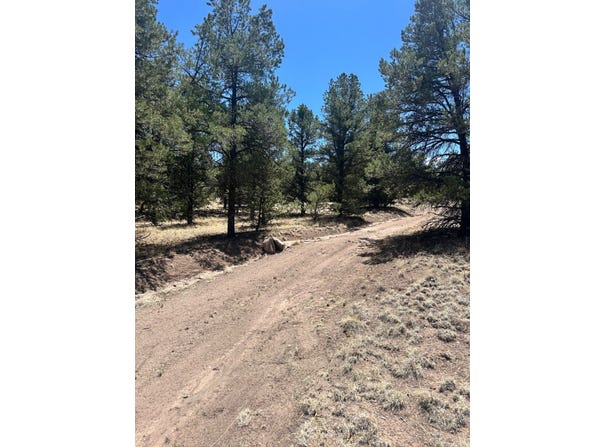 XX Campfire, Datil, NM 87821