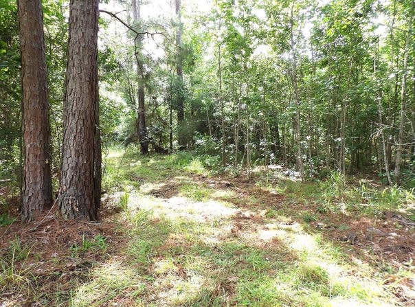 TBD FSR 536, Kennard, TX 75847