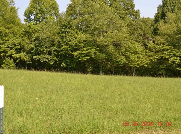 Hawk's View Lane, Napier, WV 26631