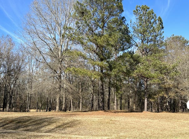 37 Crestridge Dr (Lot 37) Drive, Waynesboro, GA 30830