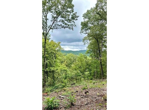 Lt 314 Pebble Trace, Talking Rock, GA 30175