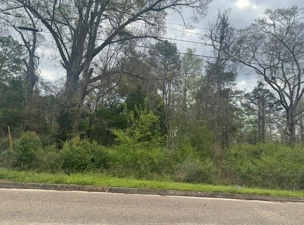 Powell Cir, Andalusia, AL 36420