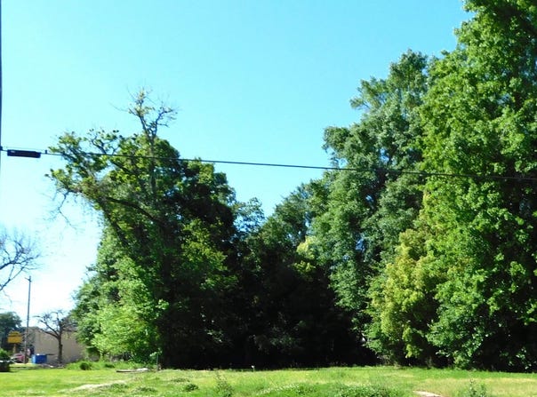 314 Mudd Avenue lot: 6, Lafayette, LA 70501