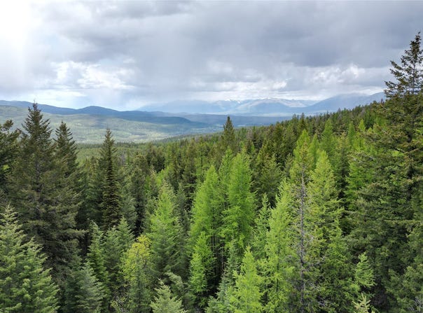 887 Morning Sky Drive, Trego, MT 59934