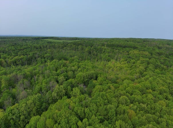 000 Lynch Rd, Newport, NY 13416