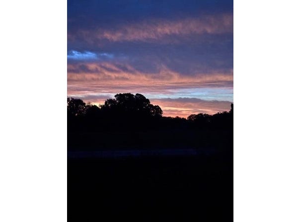 25+/-Acres S 90th Road, Flemington, MO 65650