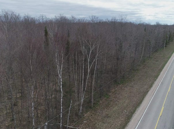 Parcel B County 433 Road, Gulliver, MI 49840