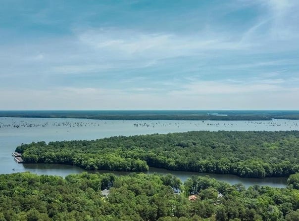 0 Loblolly Court, Elloree, SC 29047