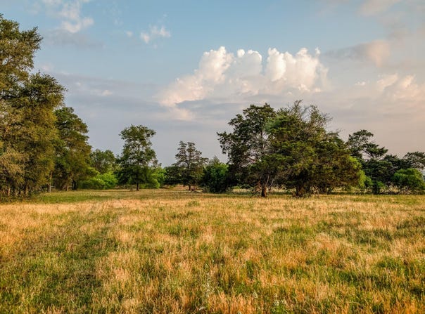 196 Willy RD, Bastrop, TX 78602