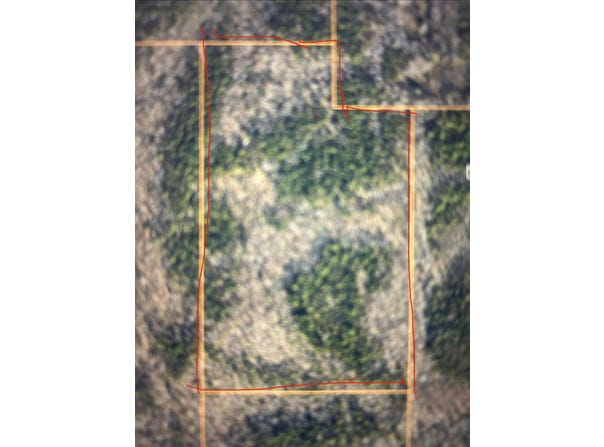 County Road 414, Falkner, MS 38629