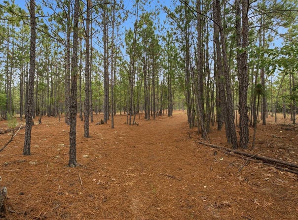 3390 Hunter Road, Kershaw, SC 29067