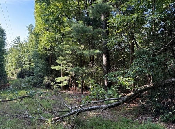 Timber Ridge Road, Millers Creek, NC 28651