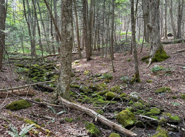 Deer Run lot: 35, Becket, MA 01223