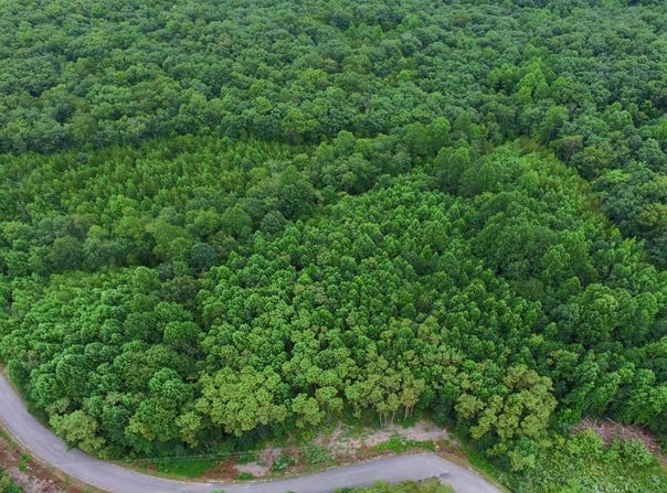 292 Overlook Dr lot: 20, Spencer, TN 38585