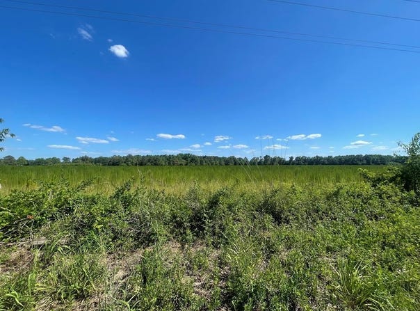 0 N Kings Highway, Sumter, SC 29154