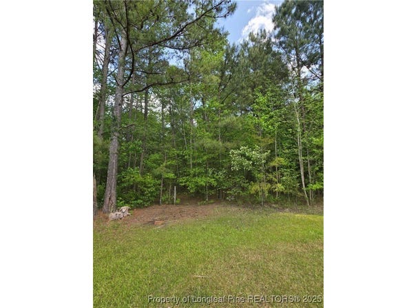 Fire Tower Lane, Raeford, NC 28376