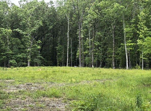 00 Gold Hill Road, Atkins, AR 72823