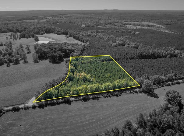 BRIDGEPORT RD, SCOTTSVILLE, VA 24590