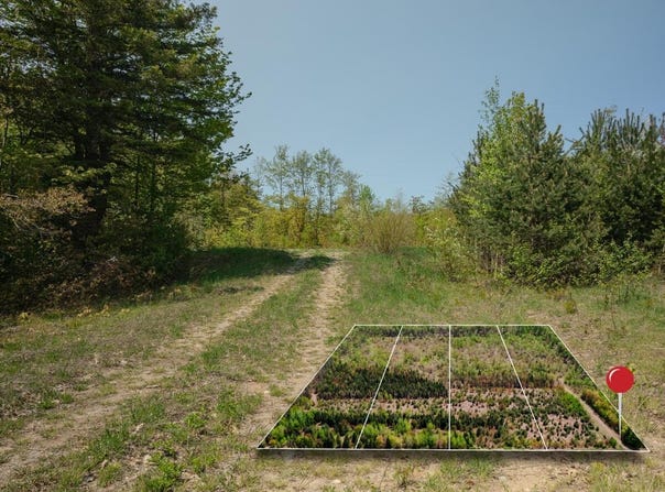 Lot 4 W Pendills Lake Road, Brimley, MI 49715